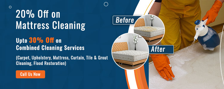 carpet clean services